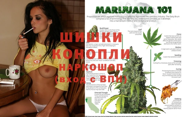 прущие грибы Аркадак