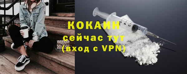 молекула духа Арсеньев