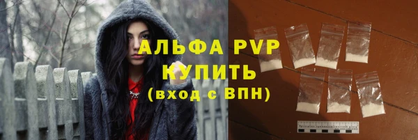 молекула духа Арсеньев