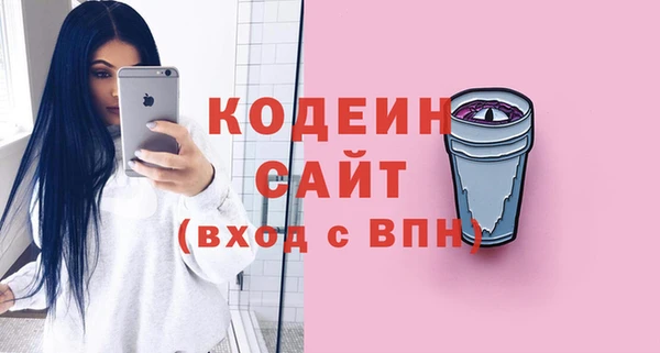 молекула духа Арсеньев