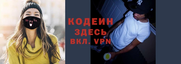 молекула духа Арсеньев