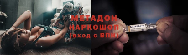 прущие грибы Аркадак