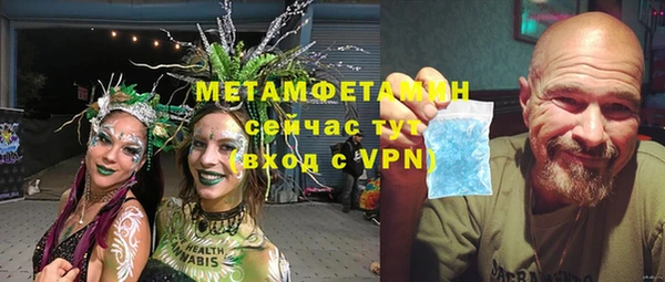 молекула духа Арсеньев