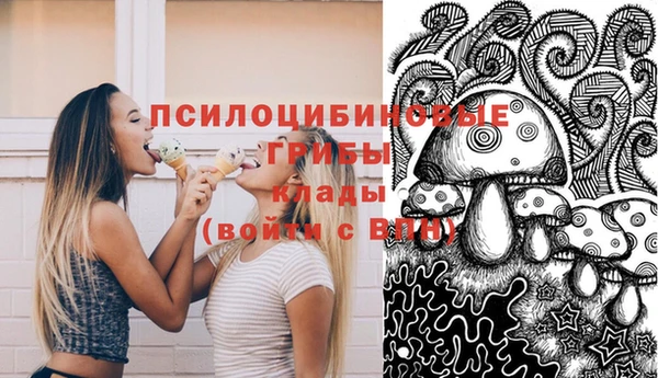 прущие грибы Аркадак