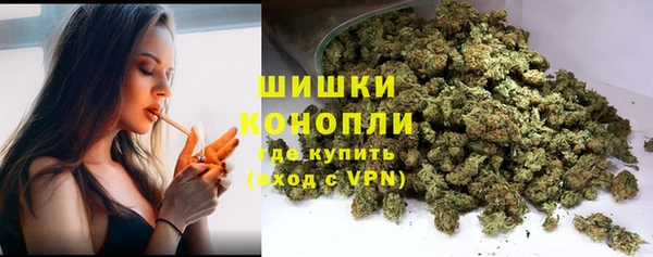 молекула духа Арсеньев