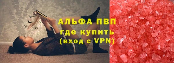молекула духа Арсеньев