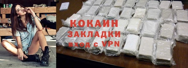 прущие грибы Аркадак