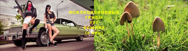 дурь Армянск