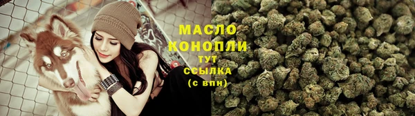 молекула духа Арсеньев