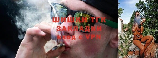 крисы Заводоуковск