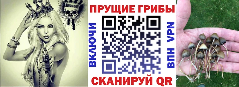Псилоцибиновые грибы Magic Shrooms  Кинель 